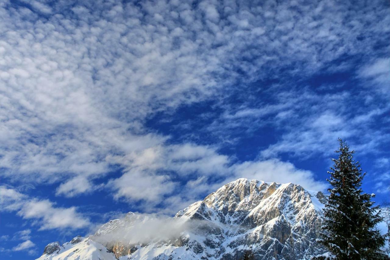 Studio "Children Of Powdersnow" Mühlbach am Hochkönig Dış mekan fotoğraf