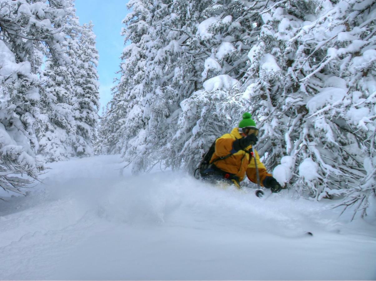 Studio "Children Of Powdersnow" Mühlbach am Hochkönig Dış mekan fotoğraf